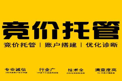 顶级SEM运营公司案例分析